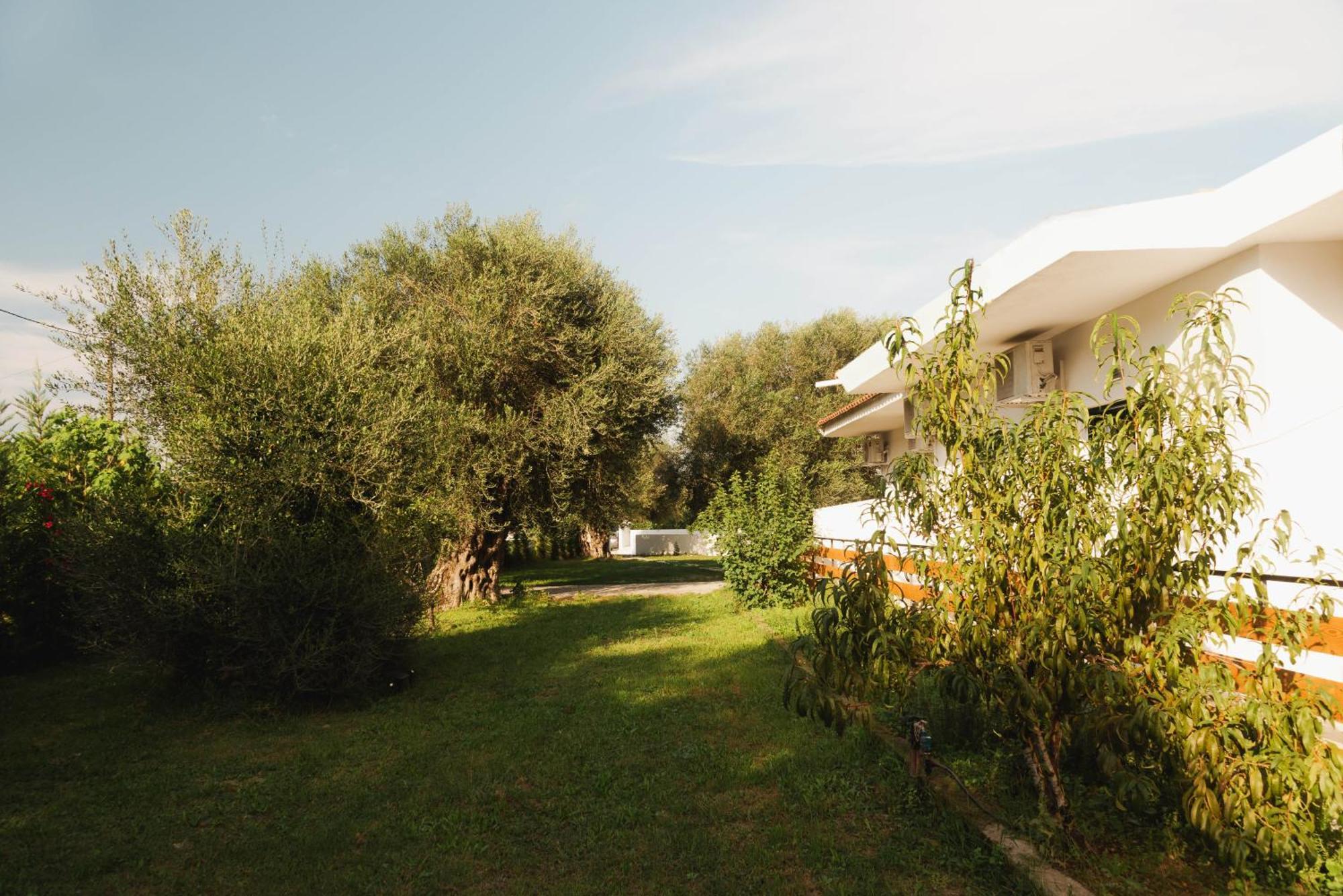 Olive Grove Suites Boutique Hotel Moraítika Eksteriør bilde