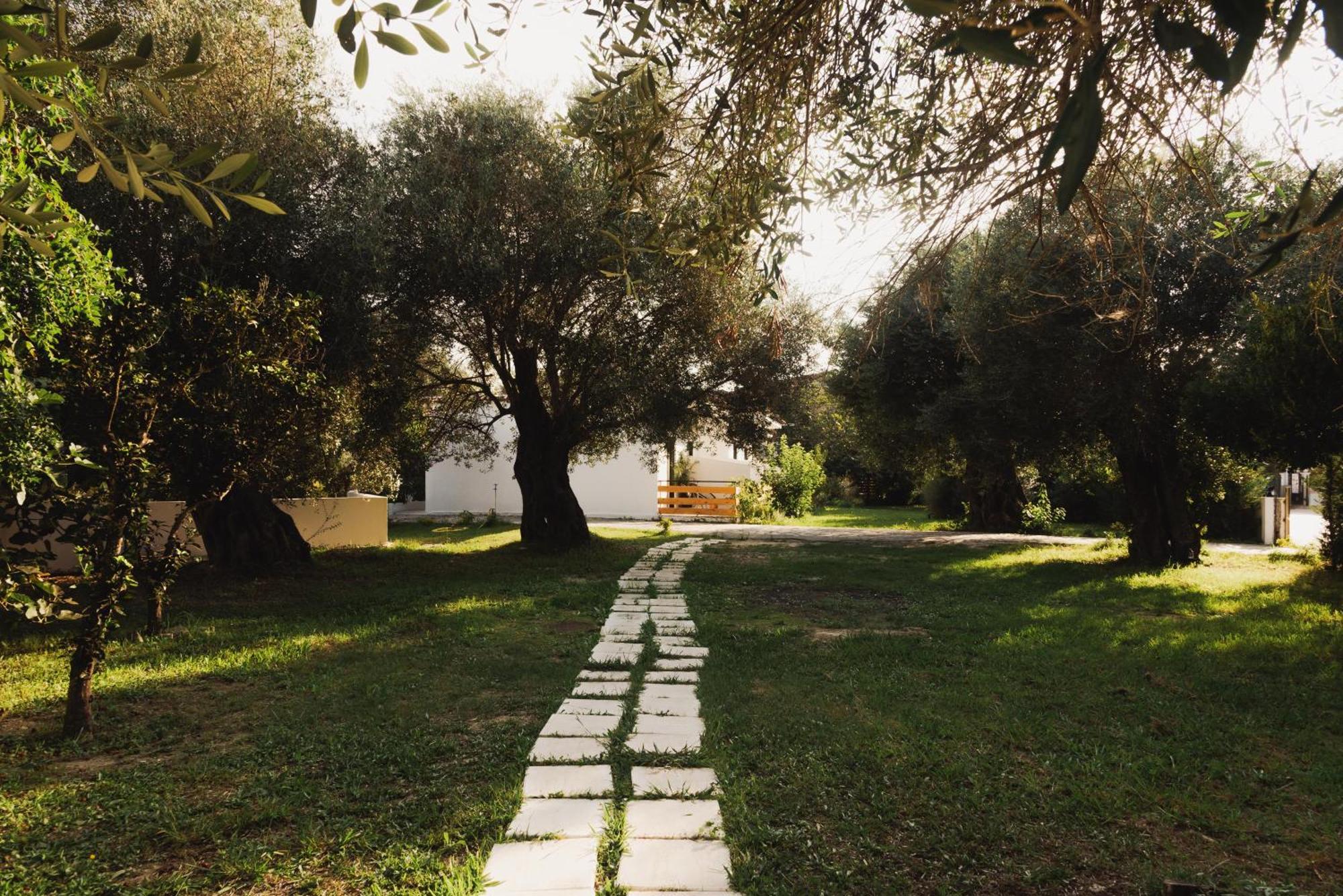 Olive Grove Suites Boutique Hotel Moraítika Eksteriør bilde